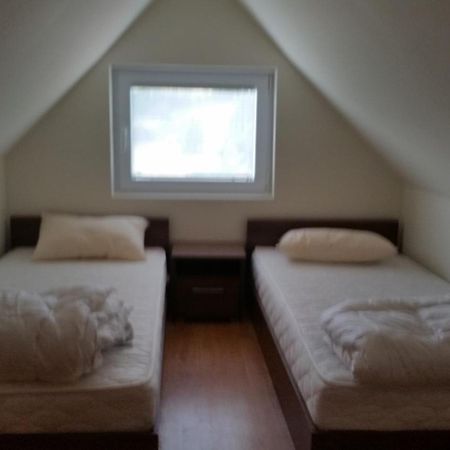Villa Ducic Zlatibor Quarto foto
